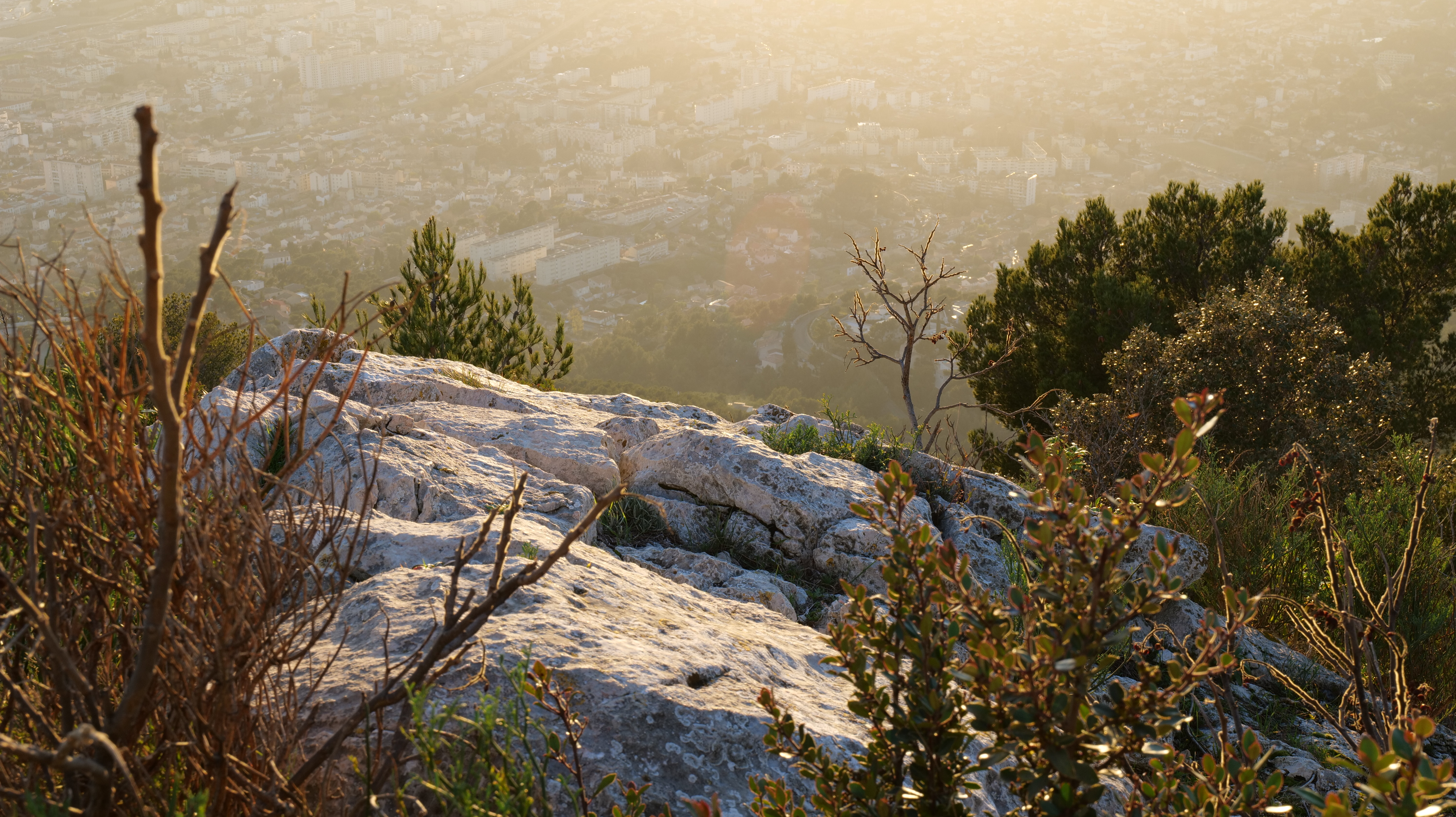 Image de Reportage : La Faune et la Flore du Var
